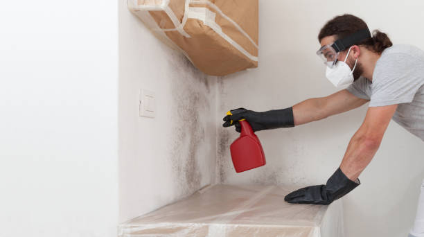 Professional Bathroom Mold Removal technician working in Fort Monmouth, NJ